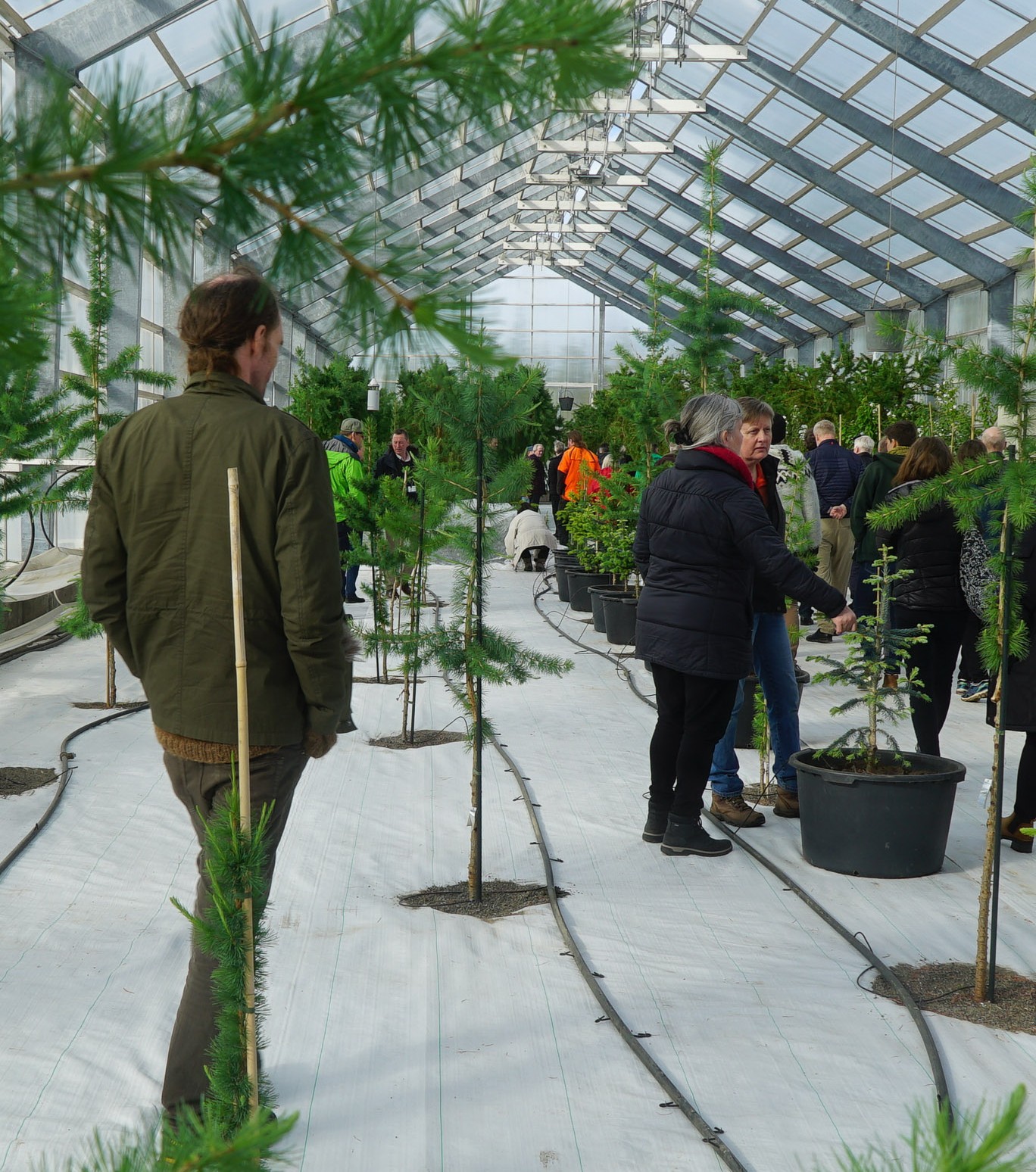 People attending a seminar in a forest nursery