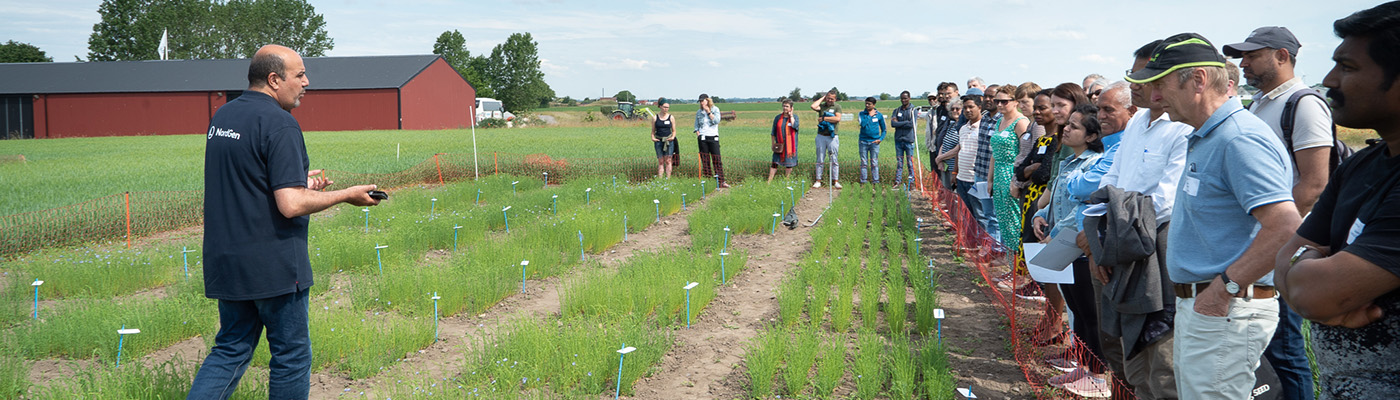 A man stands in front of a crowd of people in a field, the man seems to talk to the crowd