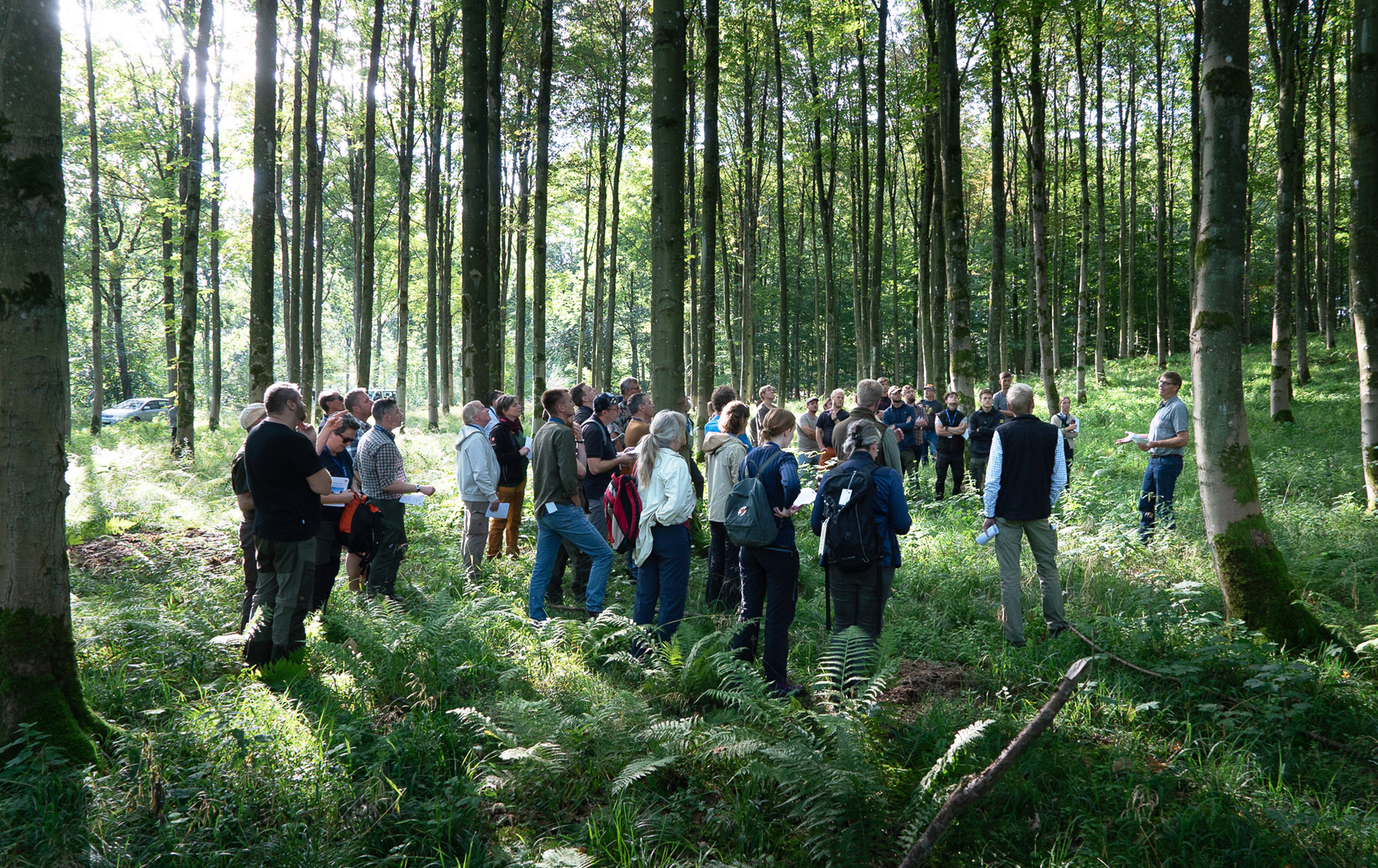 A group of people standing in a broadleaf forest.