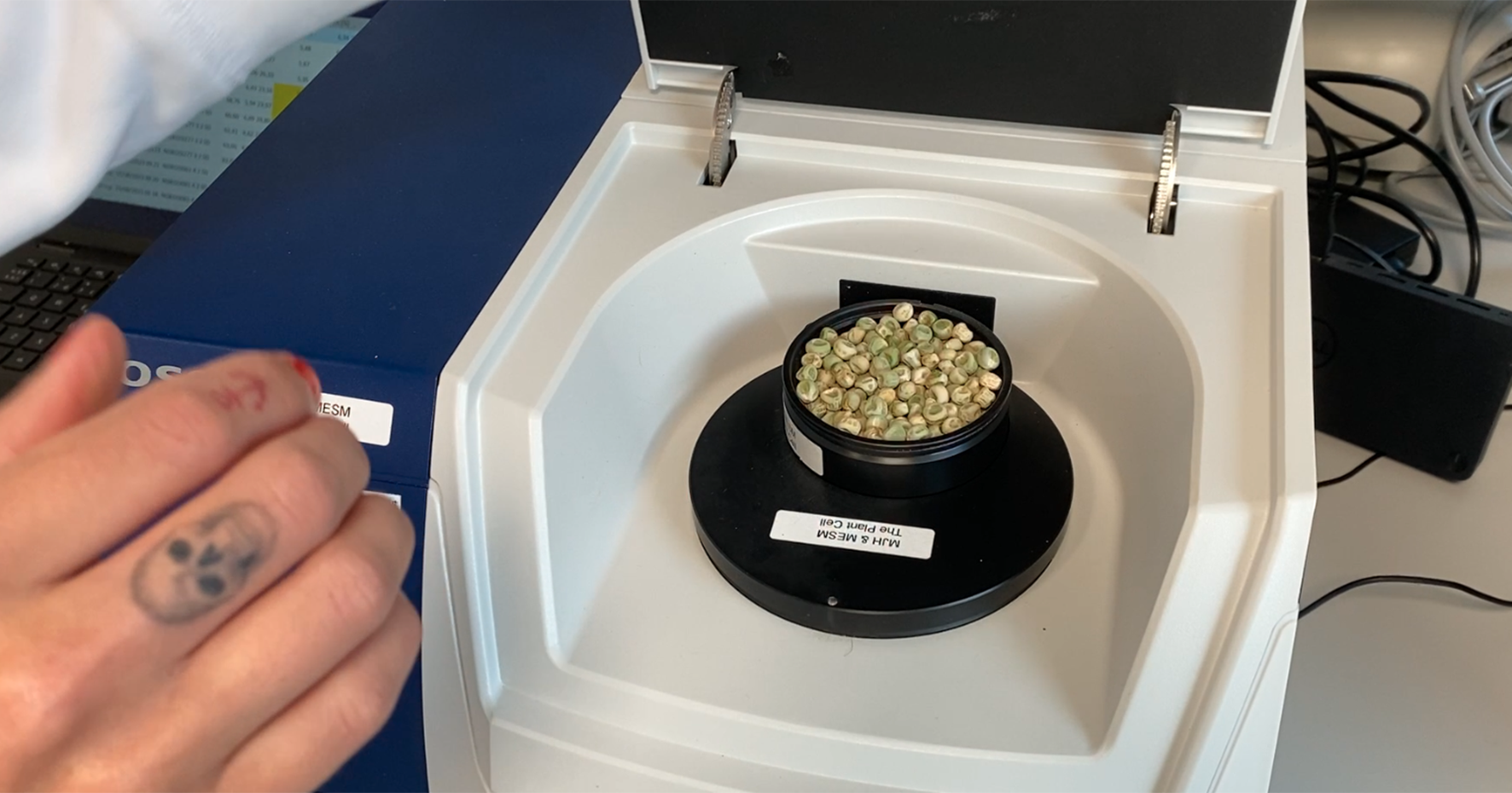 Peas in round container placed in a machine.