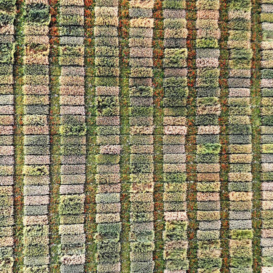 Field seen from above 