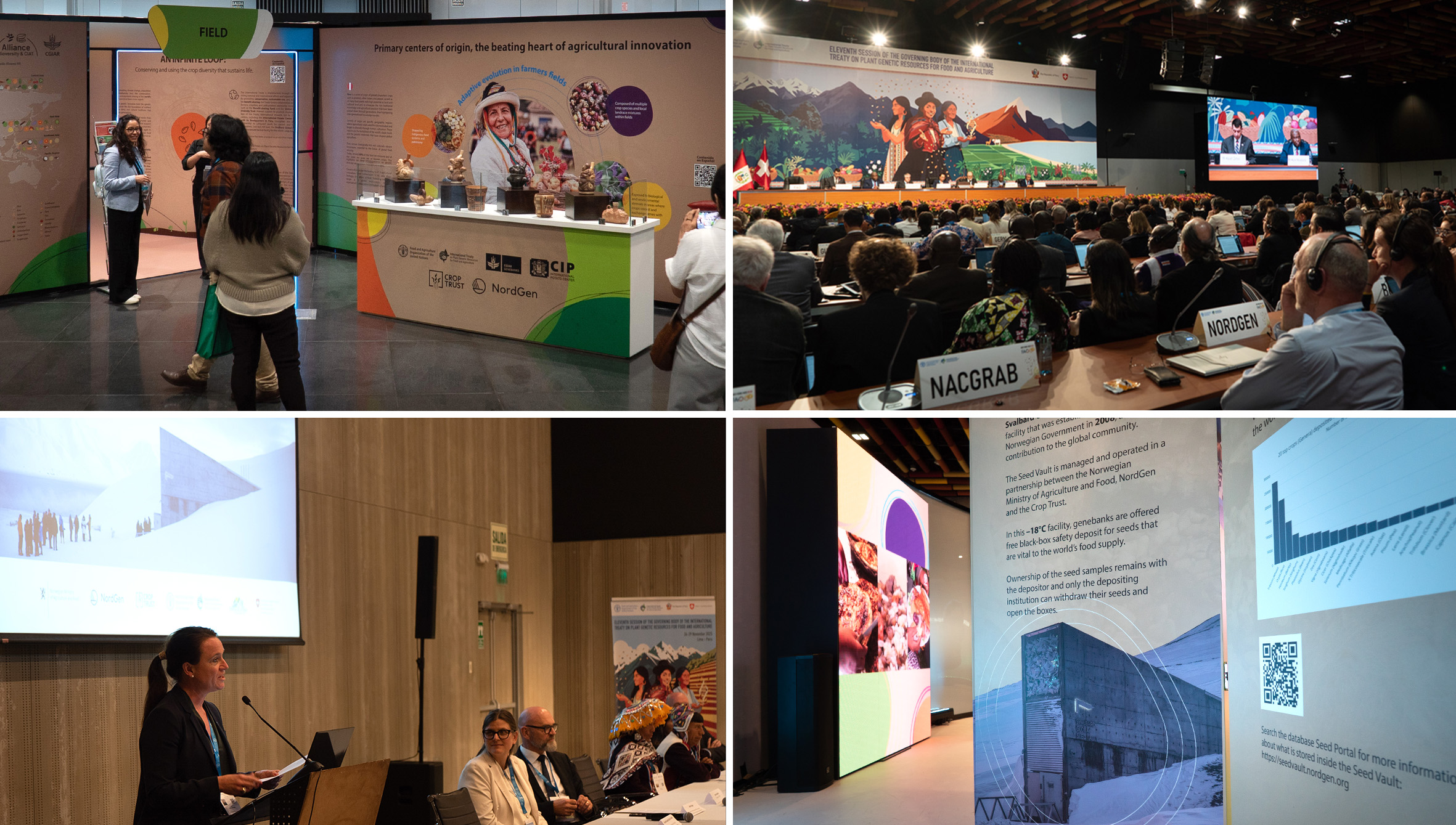 Collage of four photos