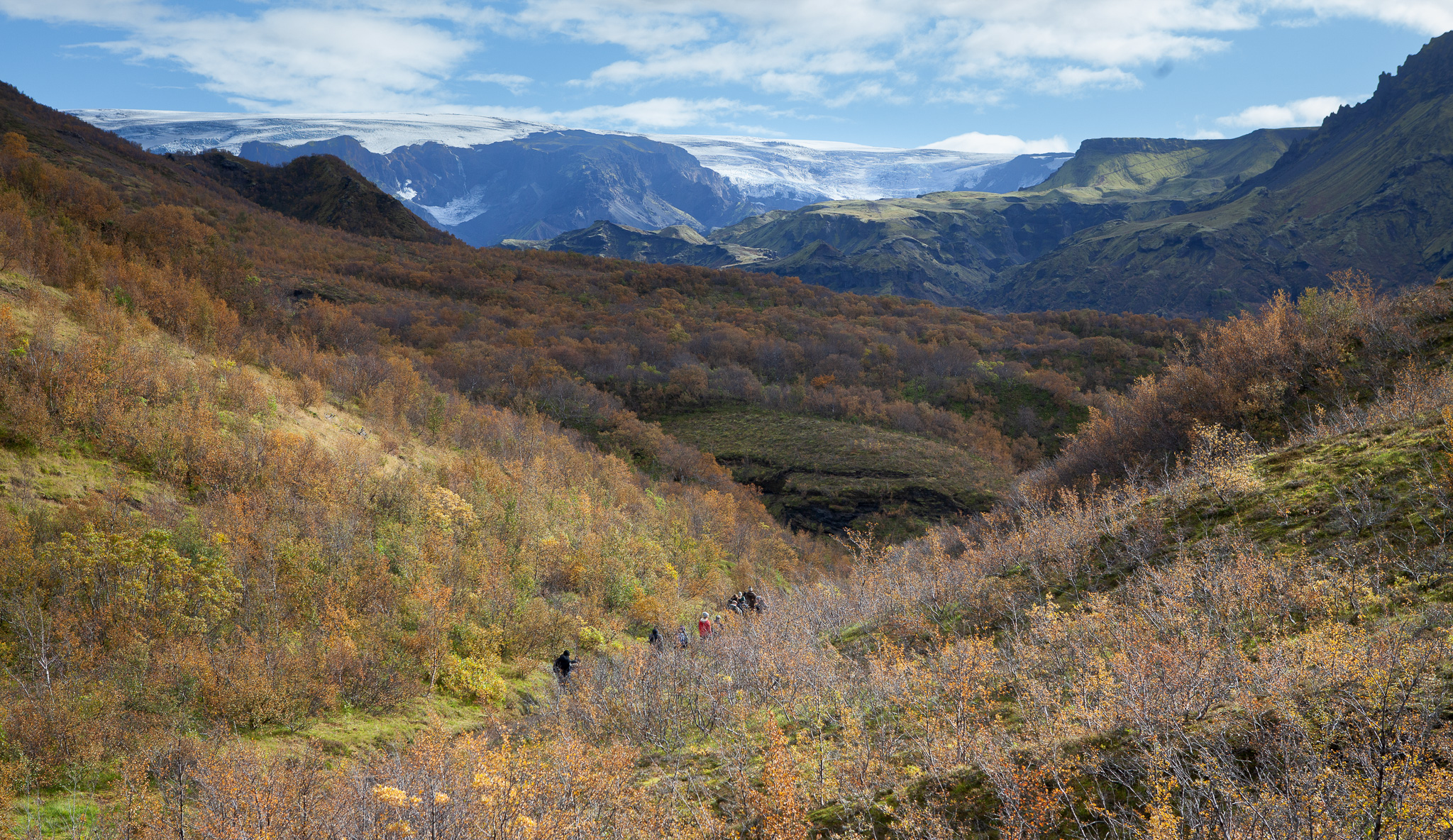 Scenery with forest and mountains