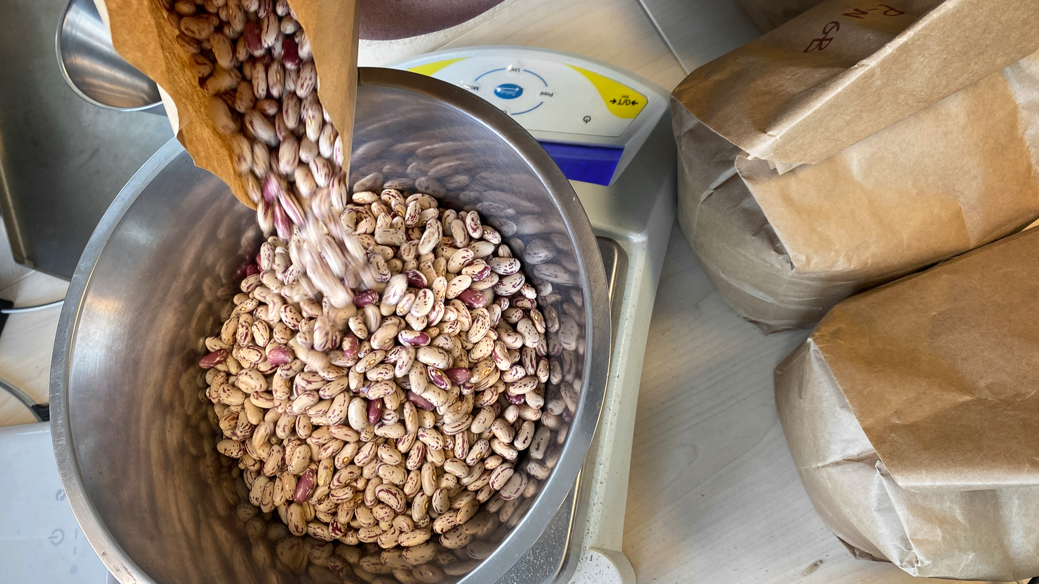 Beans in a metal bowl