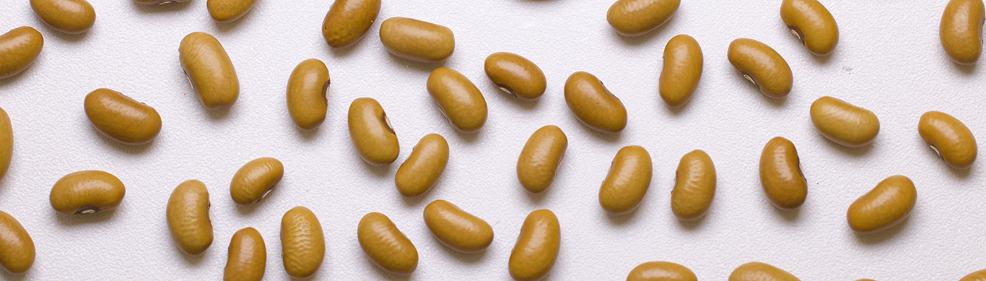 Beans on a white table