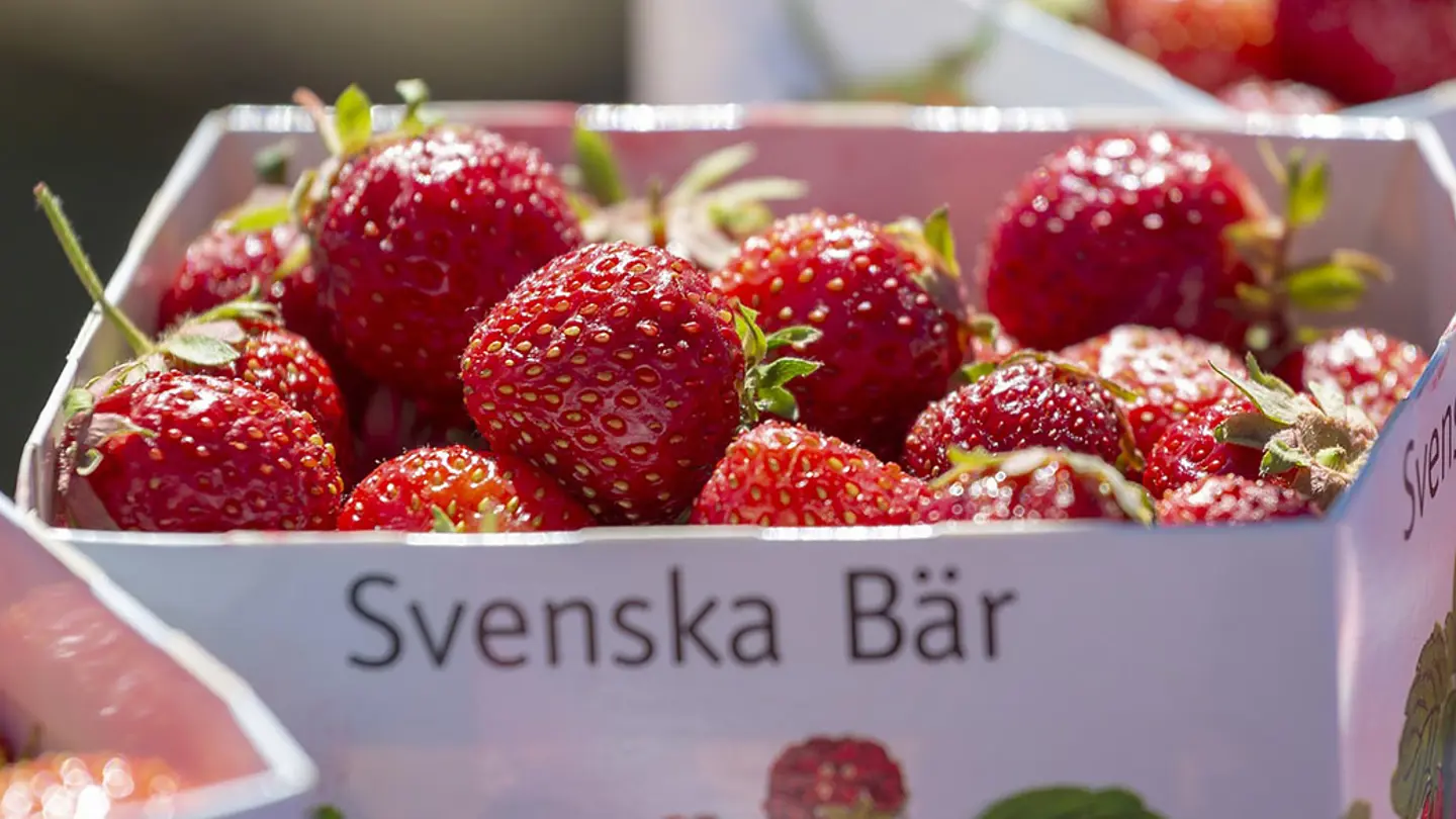 Strawberries in a box