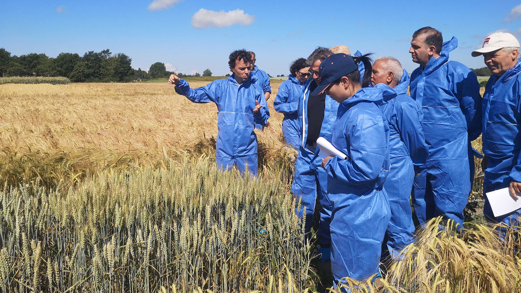 A group of people in blue protection clothes inspecting a field of cereals. 